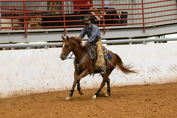 Mule&FuturityR2-393