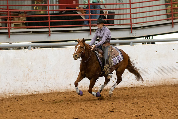 Mule&FuturityR2-512