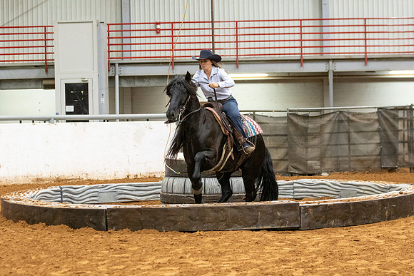 Mustang&MuleR1-23