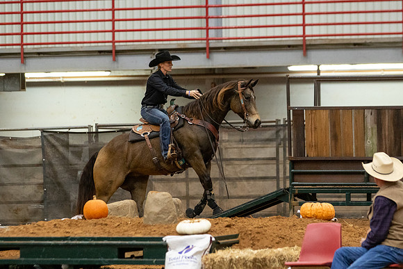 Mule&FuturityR2-527