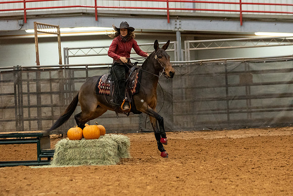 Mule&FuturityR2-104