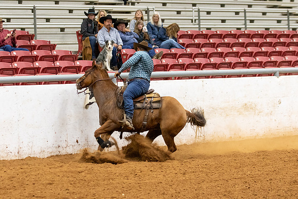 Mule&FuturityR2-268