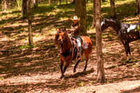 HodgesRace-6091