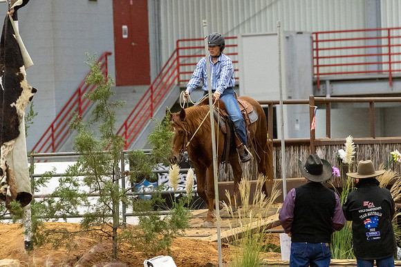 MustangFinals-5254
