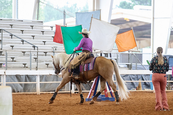 EXCARegionals-531