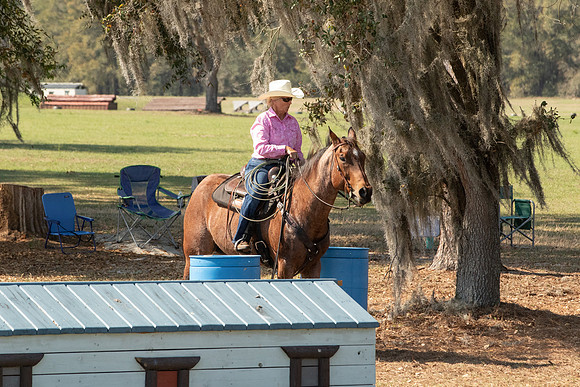 EXCAOcala-8033