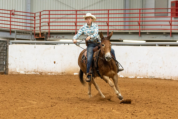 Mule&FuturityR2-10