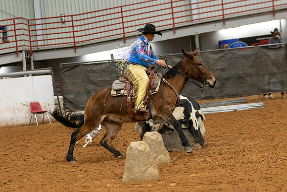 Mule&FuturityR2-195