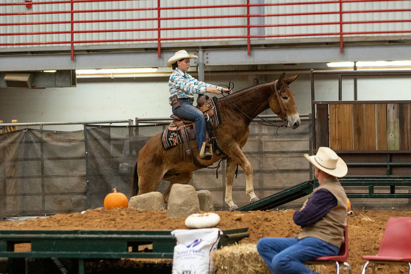 Mule&FuturityR2-6