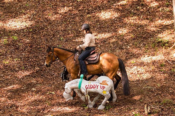 HodgesRace-5071