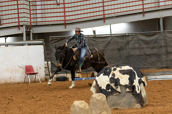 Mule&FuturityR2-219