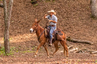 HodgesRace-7542