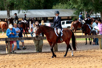 4HArenaWest-1326