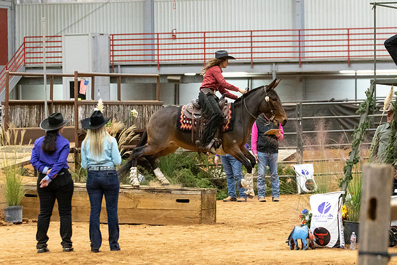 ProFinals-7547