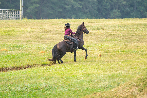 IMG_7584