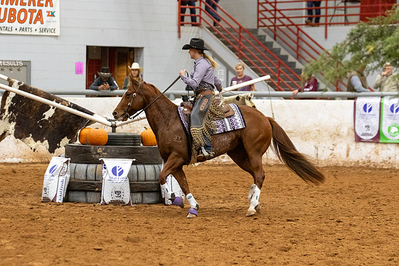 Mule&FuturityR2-511