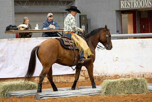 Mule&FuturityR2-342