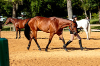 4HArenaWest-0983