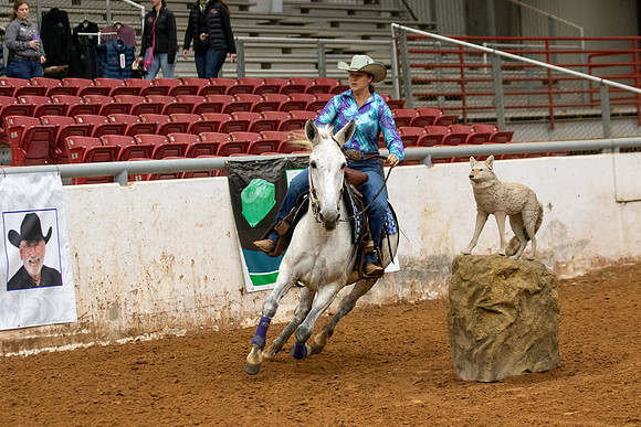 Mule&FuturityR2-141
