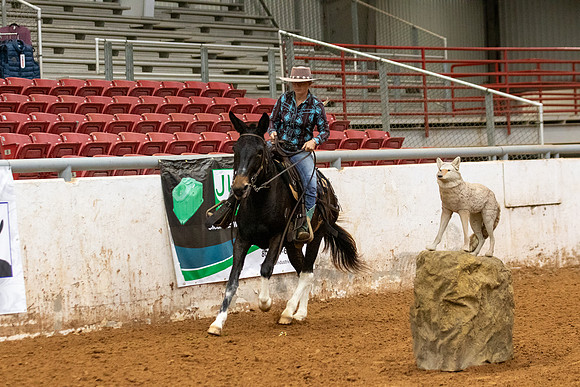 Mule&FuturityR2-201