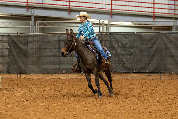 Mule&FuturityR2-37