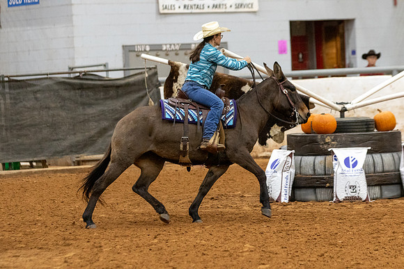 Mule&FuturityR2-42