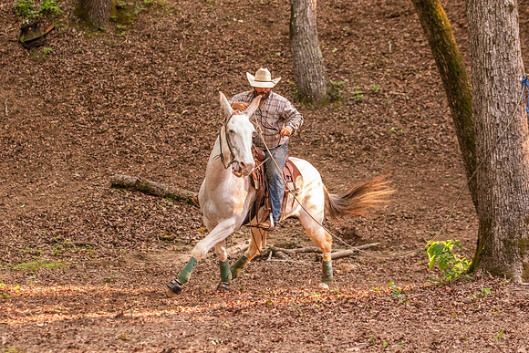 HodgesRace-7615