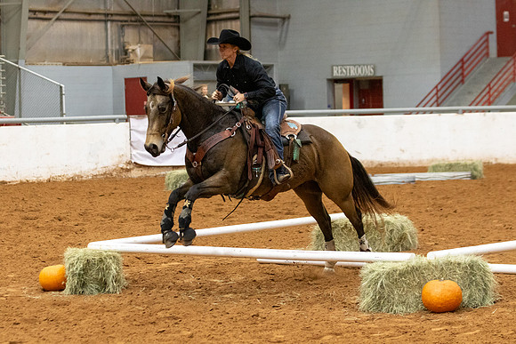 Mule&FuturityR2-533