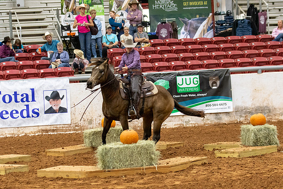 NonProR1-1160