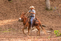 HodgesRace-7541