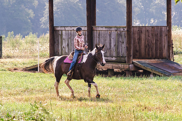 Hayden-9674