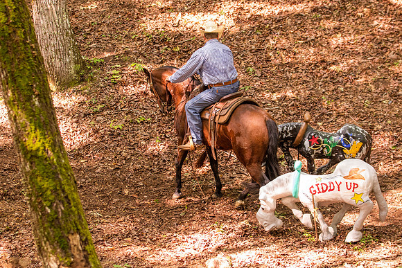 HodgesRace-5276