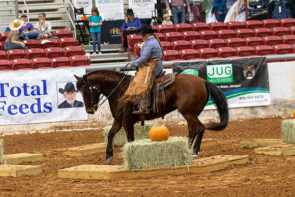 Mustang&MuleR1-236