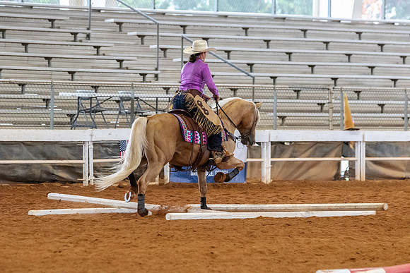 EXCARegionals-529