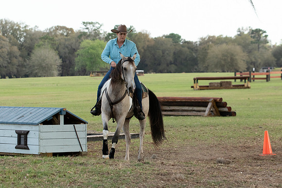 EXCAOcala-9003