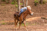 HodgesRace-7538