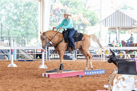 EXCARegionals-1139