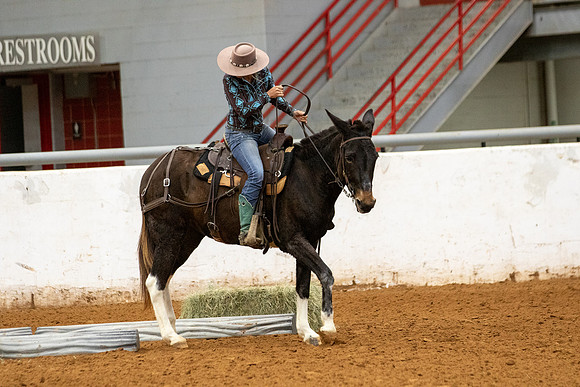 Mule&FuturityR2-203