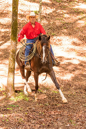 HodgesRace-5358