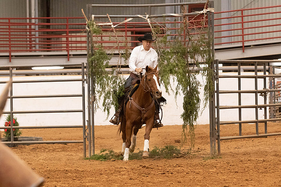Novice-4429