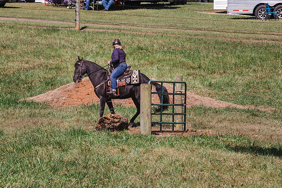 Terri-1727