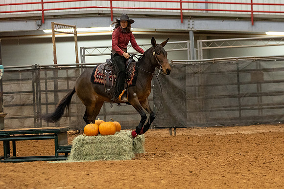 Mule&FuturityR2-103