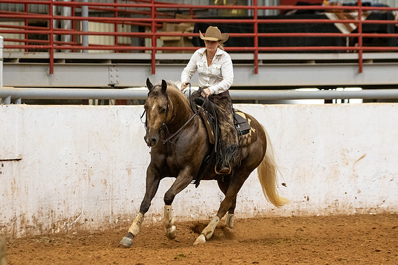 Mule&FuturityR2-319