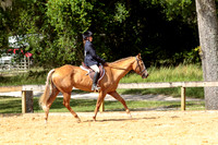 90. Walk/Trot Hunter Under Saddle
