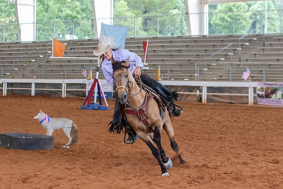 EXCARegionals-2016