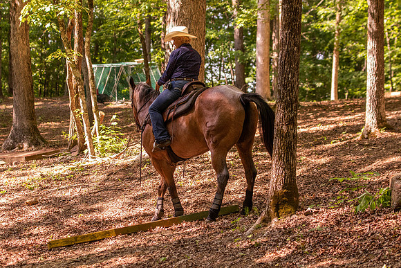 HodgesRace-6544