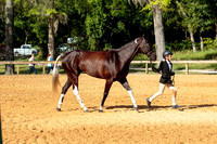 4HArenaWest-0962
