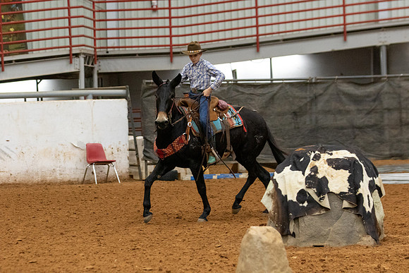 Mule&FuturityR2-72