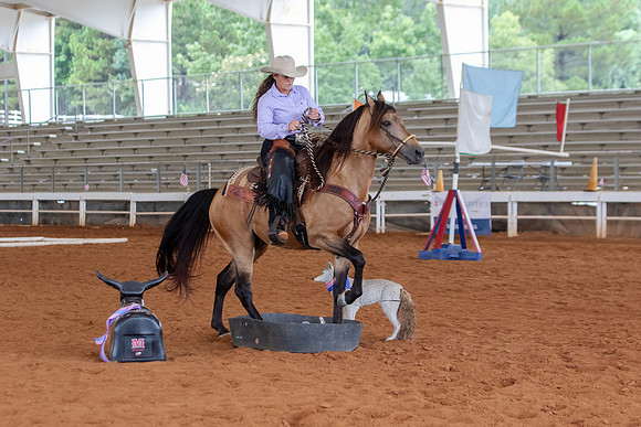 EXCARegionals-2013