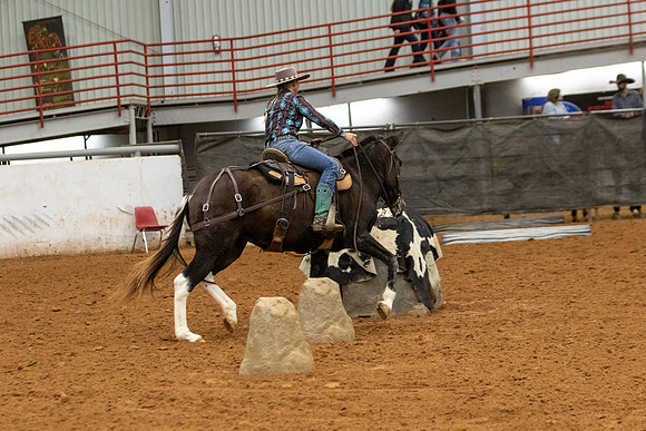 Mule&FuturityR2-217